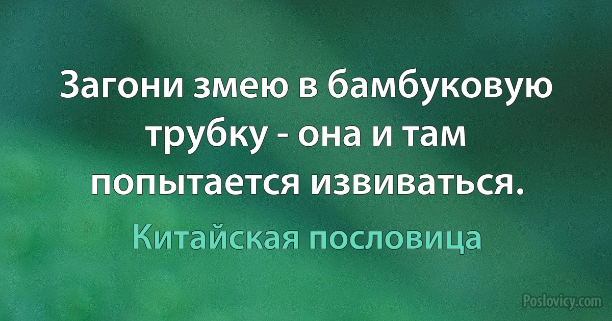 Загони змею в бамбуковую трубку - она и там попытается извиваться. (Китайская пословица)