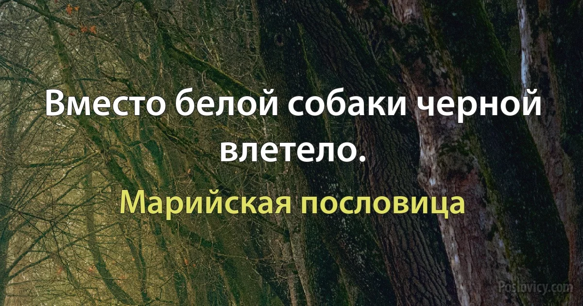 Вместо белой собаки черной влетело. (Марийская пословица)