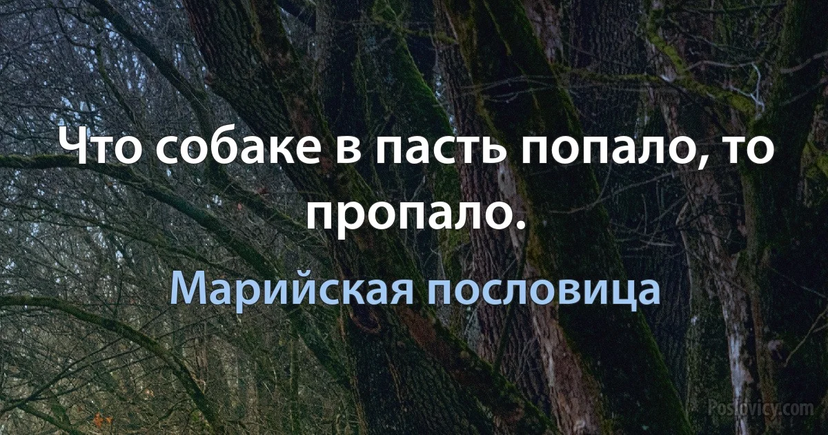 Что собаке в пасть попало, то пропало. (Марийская пословица)