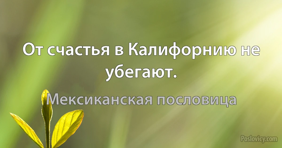 От счастья в Калифорнию не убегают. (Мексиканская пословица)