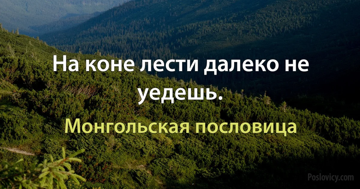 На коне лести далеко не уедешь. (Монгольская пословица)