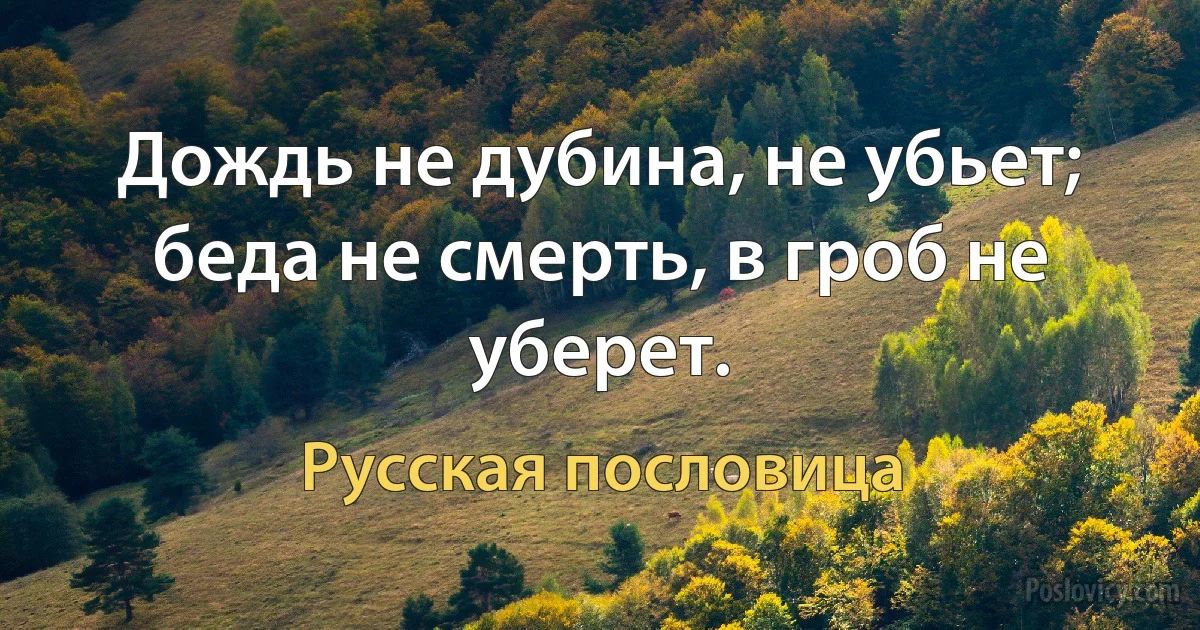 Дождь не дубина, не убьет; беда не смерть, в гроб не уберет. (Русская пословица)