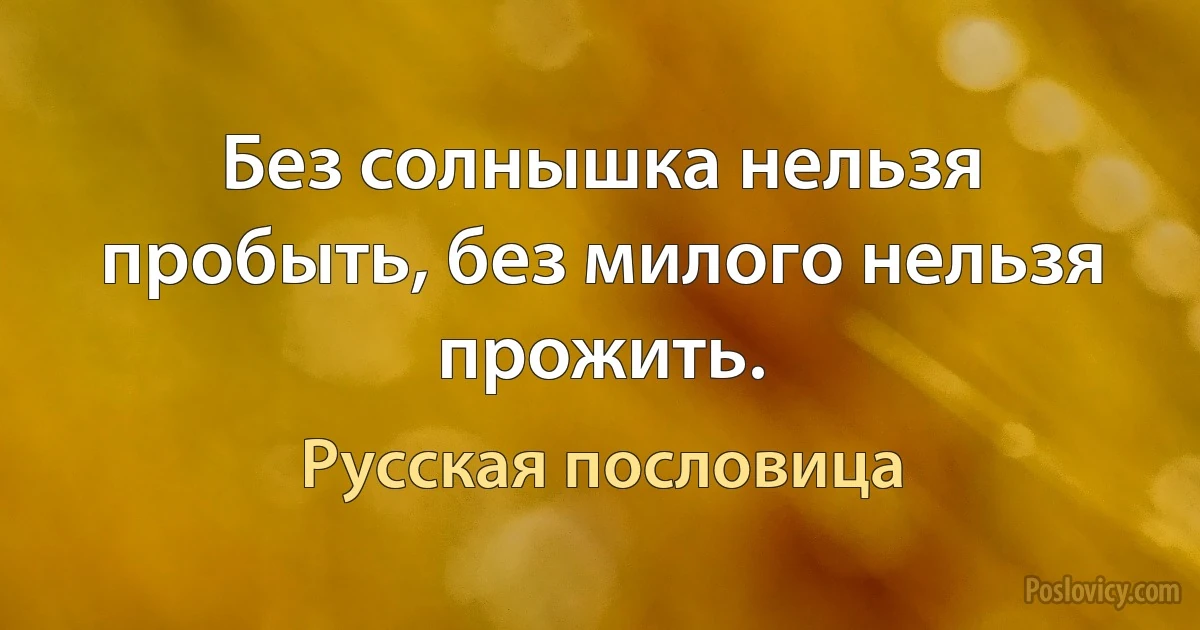 Без солнышка нельзя пробыть, без милого нельзя прожить. (Русская пословица)