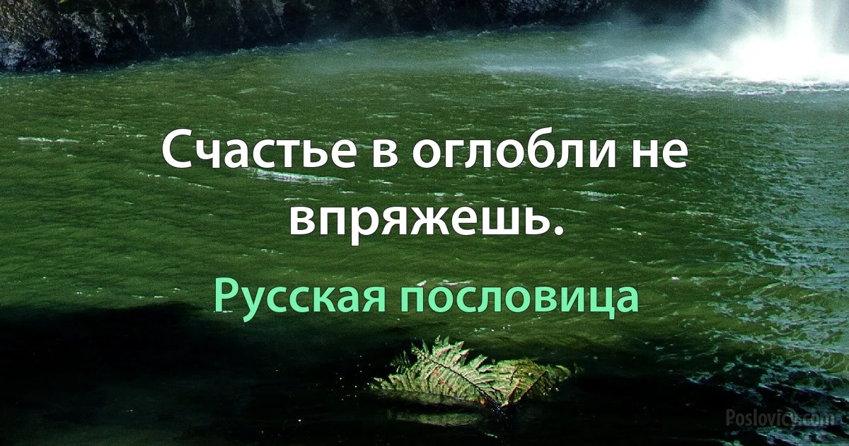 Счастье в оглобли не впряжешь. (Русская пословица)