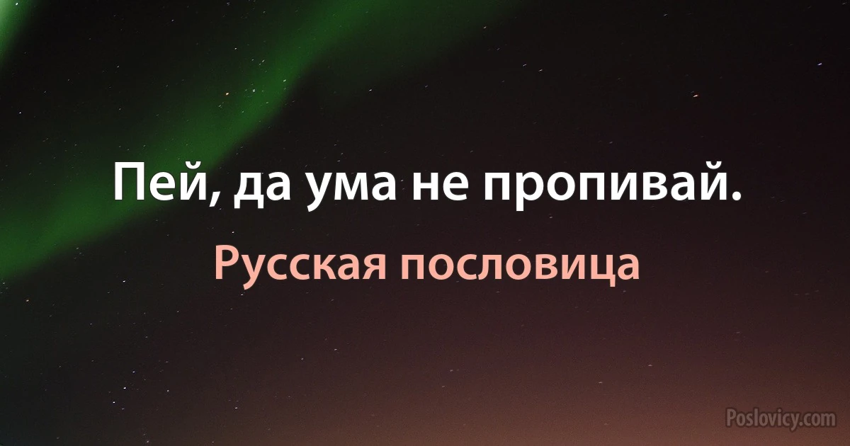 Пей, да ума не пропивай. (Русская пословица)