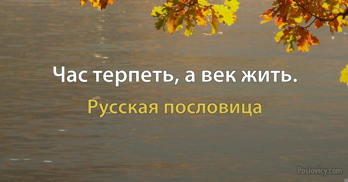 Час терпеть, а век жить. (Русская пословица)