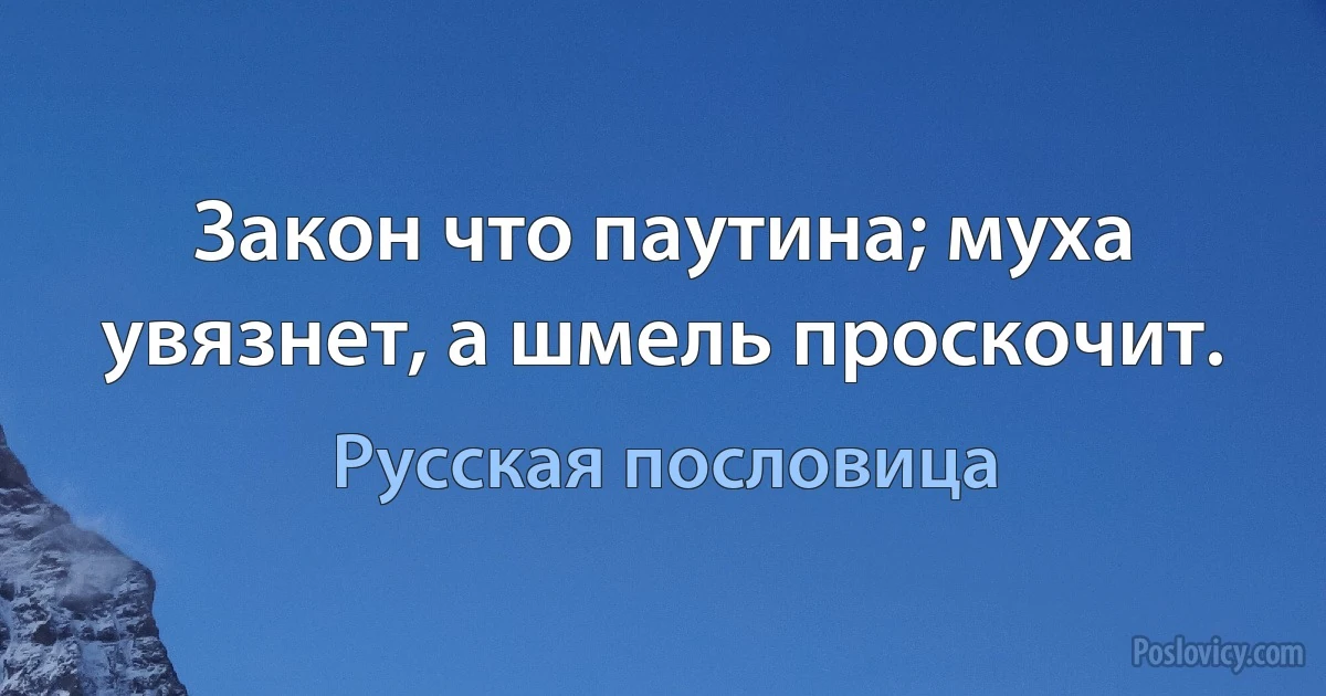 Закон что паутина; муха увязнет, а шмель проскочит. (Русская пословица)