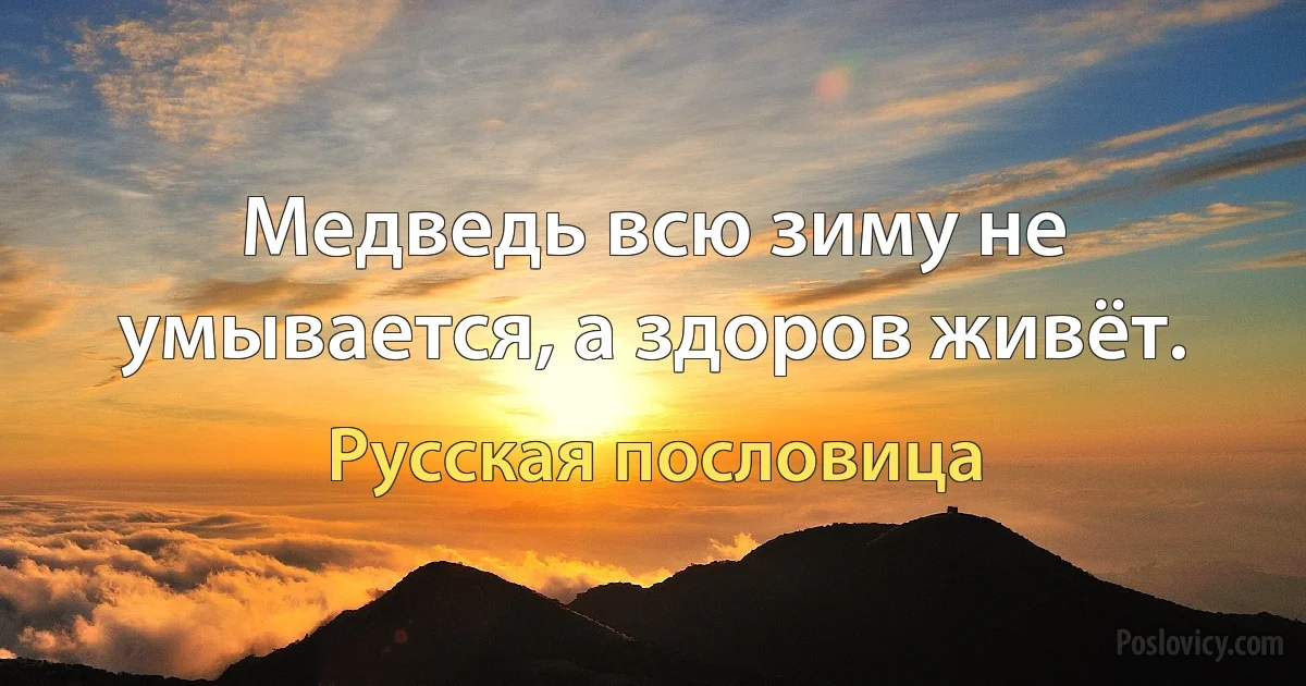 Медведь всю зиму не умывается, а здоров живёт. (Русская пословица)