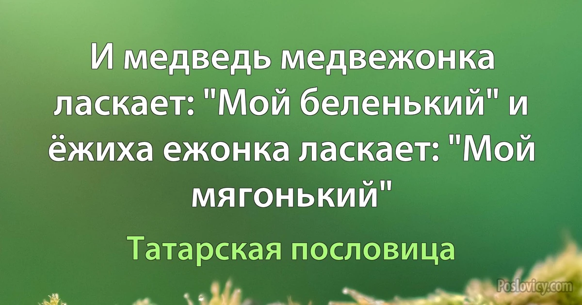 И медведь медвежонка ласкает: "Мой беленький" и ёжиха ежонка ласкает: "Мой мягонький" (Татарская пословица)