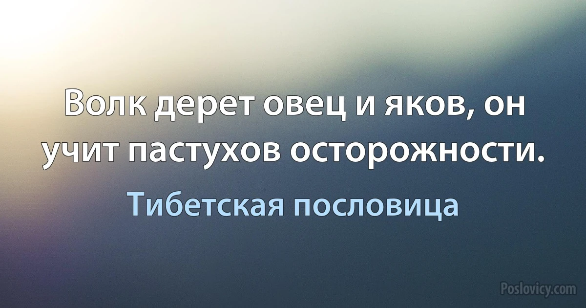 Волк дерет овец и яков, он учит пастухов осторожности. (Тибетская пословица)