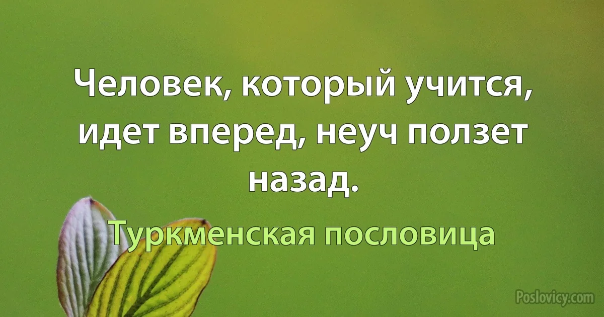 Человек, который учится, идет вперед, неуч ползет назад. (Туркменская пословица)