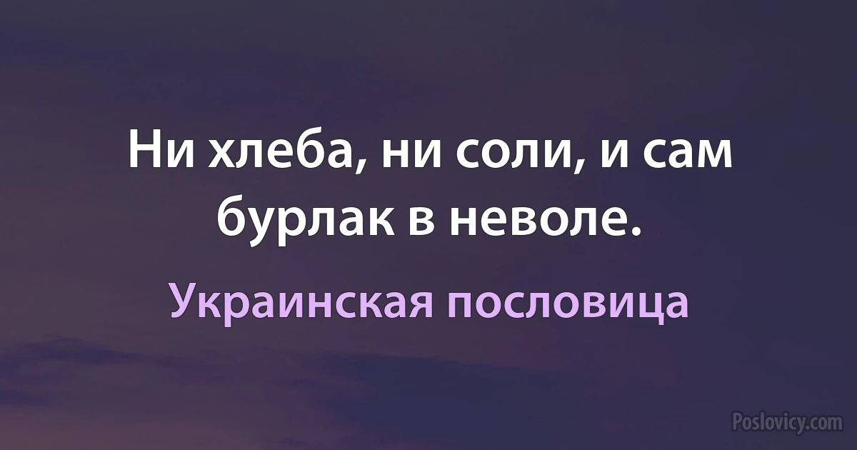 Ни хлеба, ни соли, и сам бурлак в неволе. (Украинская пословица)