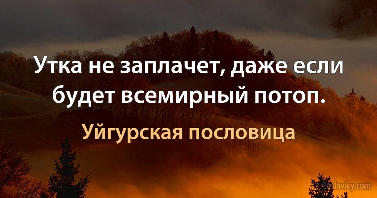 Утка не заплачет, даже если будет всемирный потоп. (Уйгурская пословица)