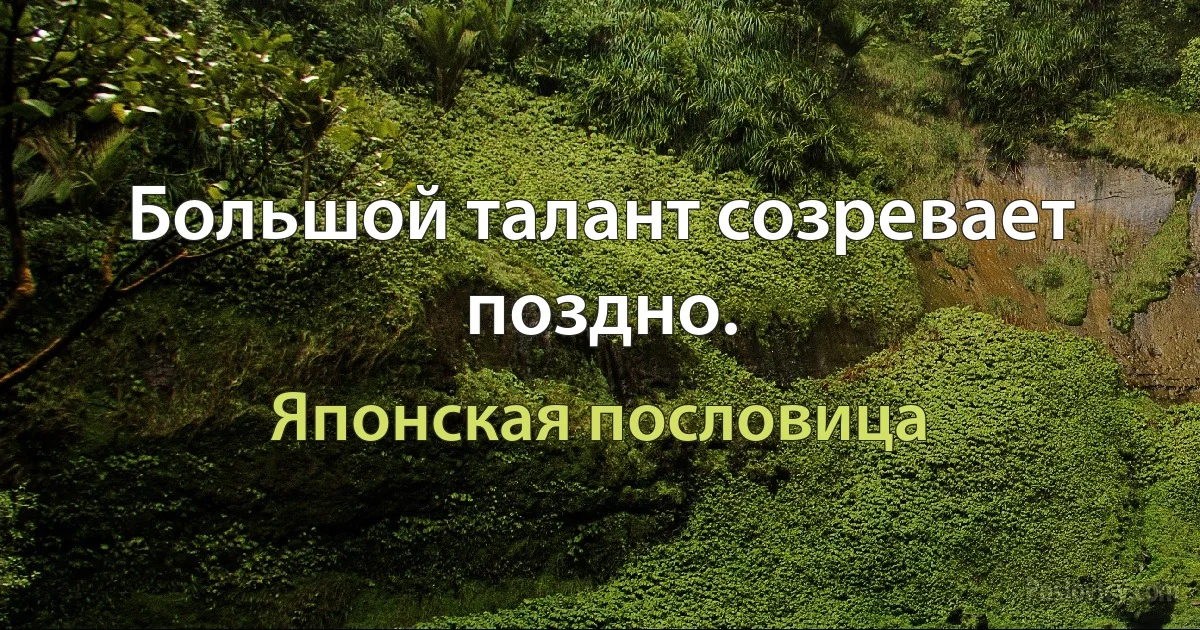 Большой талант созревает поздно. (Японская пословица)