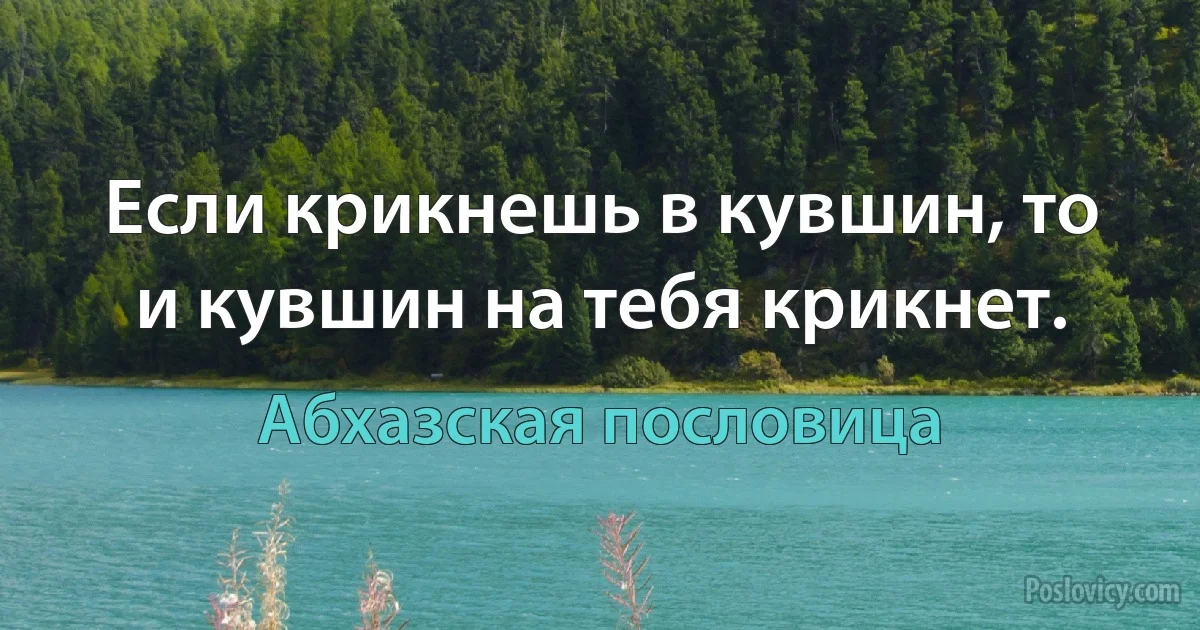 Если крикнешь в кувшин, то и кувшин на тебя крикнет. (Абхазская пословица)