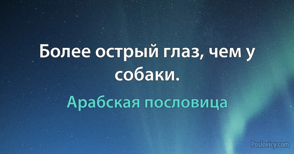 Более острый глаз, чем у собаки. (Арабская пословица)