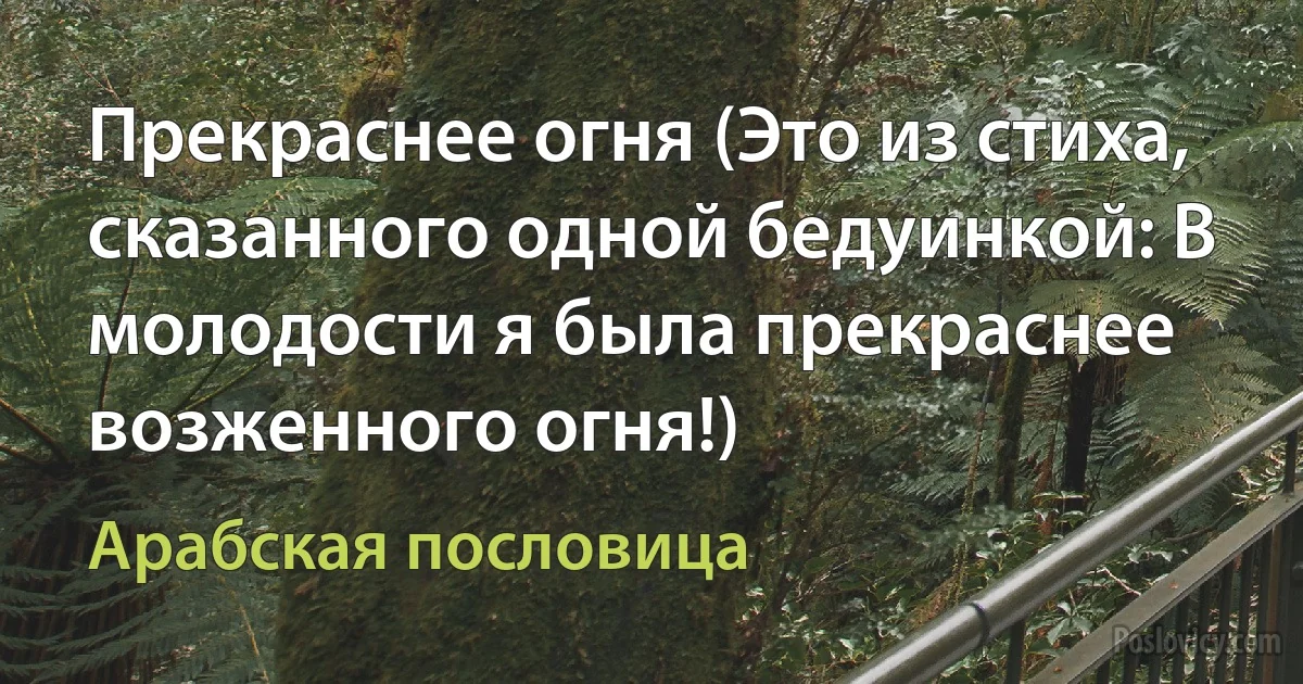 Прекраснее огня (Это из стиха, сказанного одной бедуинкой: В молодости я была прекраснее возженного огня!) (Арабская пословица)