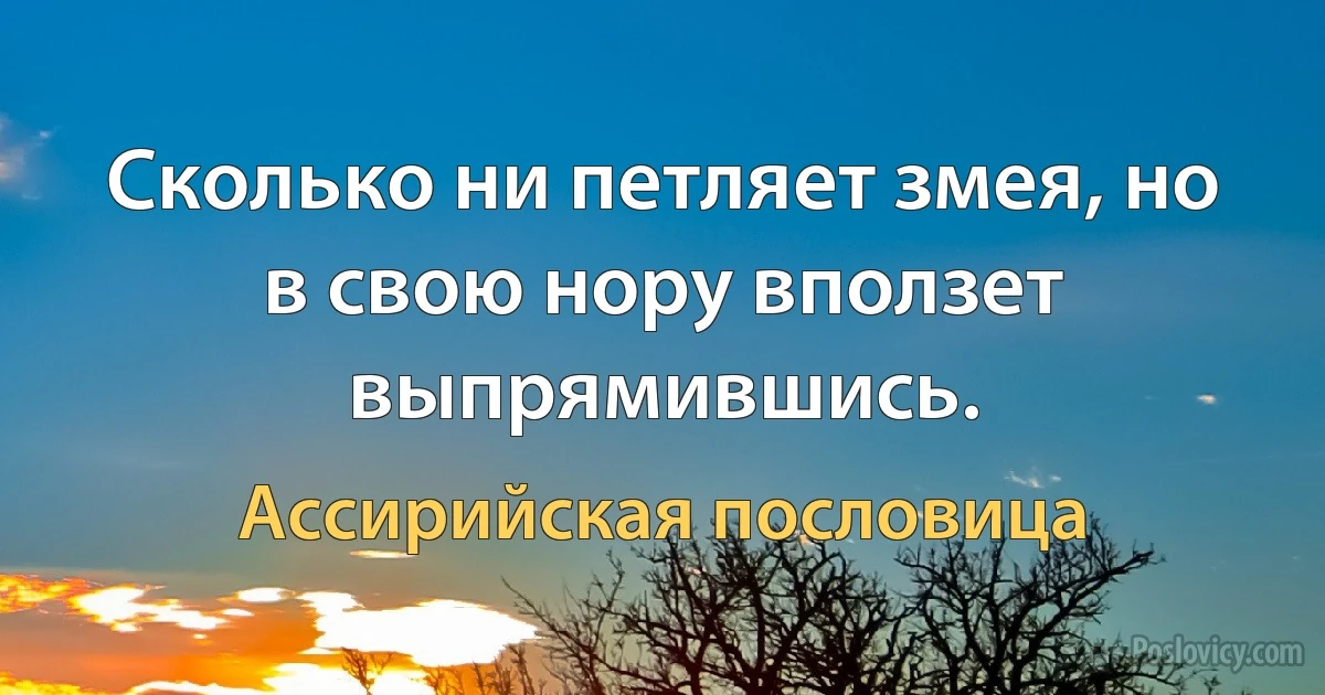 Сколько ни петляет змея, но в свою нору вползет выпрямившись. (Ассирийская пословица)