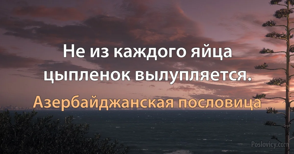 Не из каждого яйца цыпленок вылупляется. (Азербайджанская пословица)