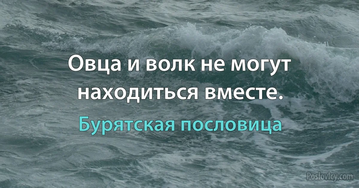 Овца и волк не могут находиться вместе. (Бурятская пословица)