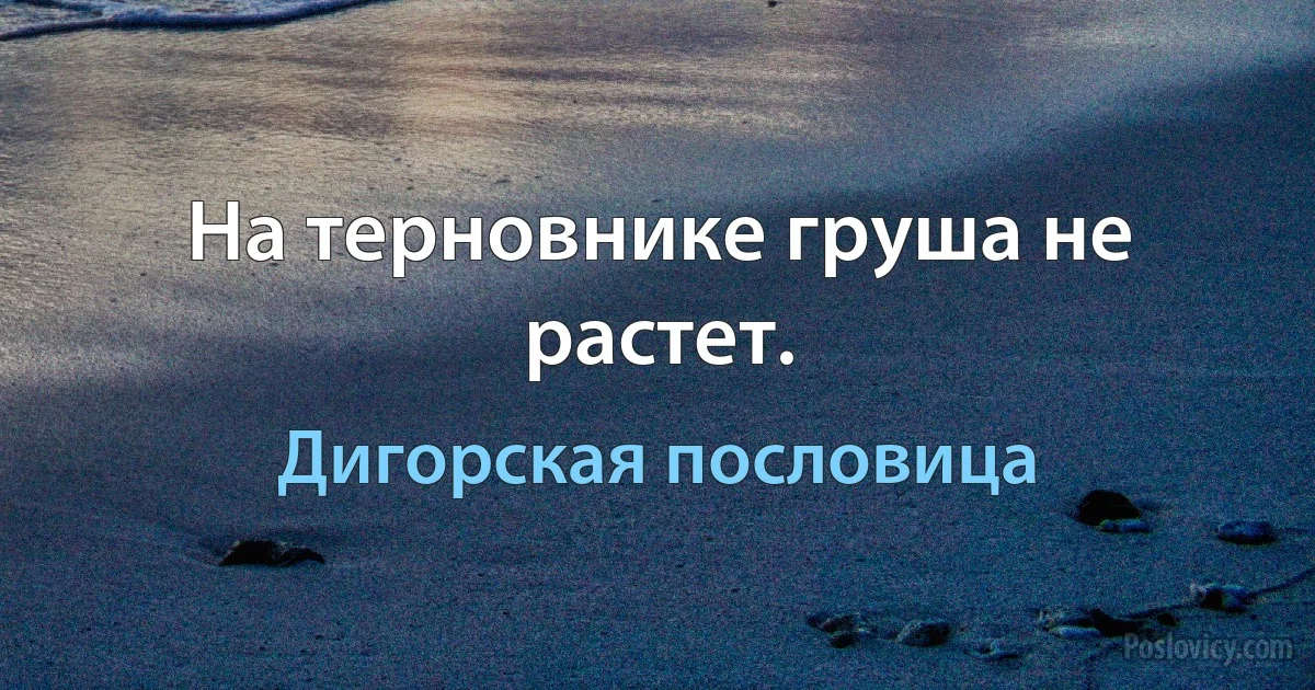 На терновнике груша не растет. (Дигорская пословица)