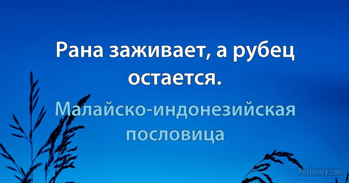 Рана заживает, а рубец остается. (Малайско-индонезийская пословица)