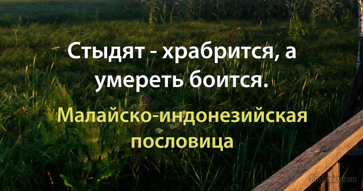 Стыдят - храбрится, а умереть боится. (Малайско-индонезийская пословица)