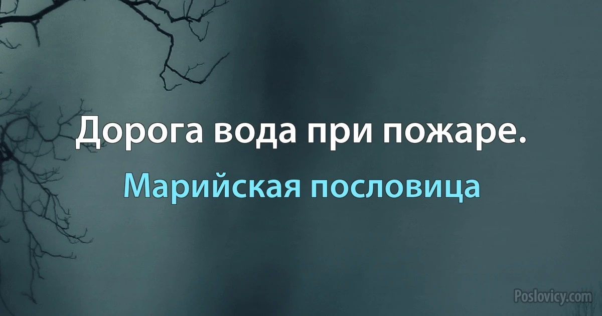 Дорога вода при пожаре. (Марийская пословица)