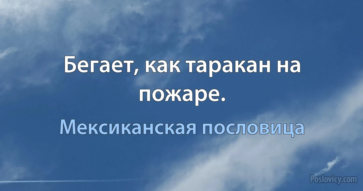 Бегает, как таракан на пожаре. (Мексиканская пословица)