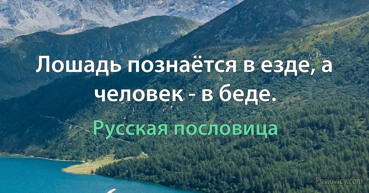 Лошадь познаётся в езде, а человек - в беде. (Русская пословица)