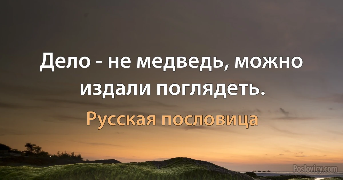 Дело - не медведь, можно издали поглядеть. (Русская пословица)