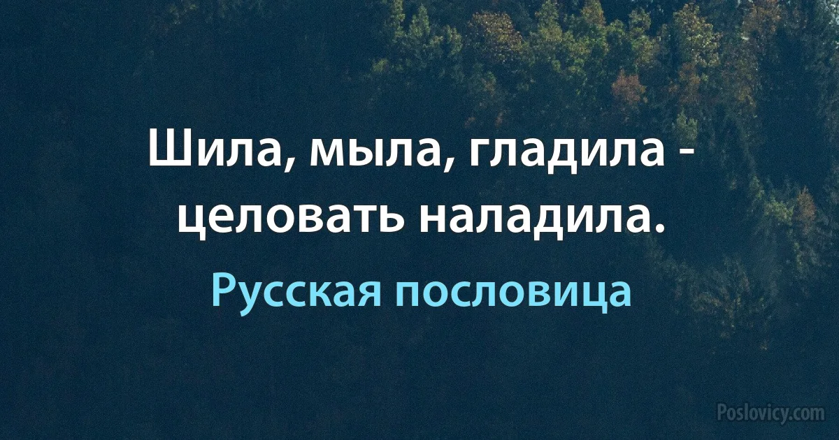 Шила, мыла, гладила - целовать наладила. (Русская пословица)