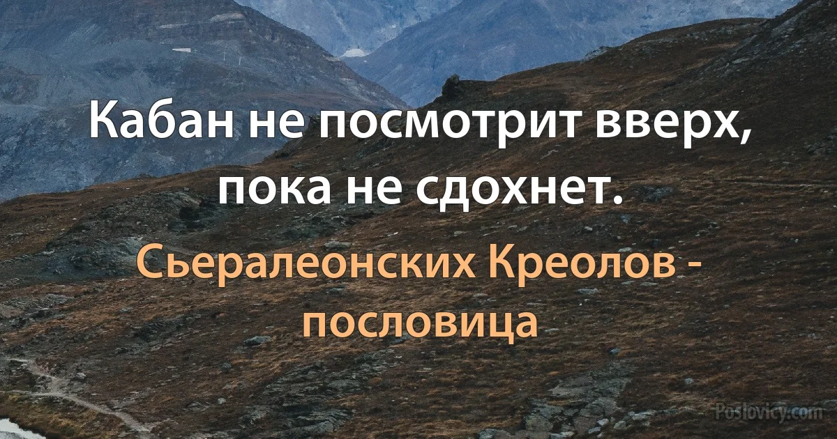 Кабан не посмотрит вверх, пока не сдохнет. (Сьералеонских Креолов - пословица)