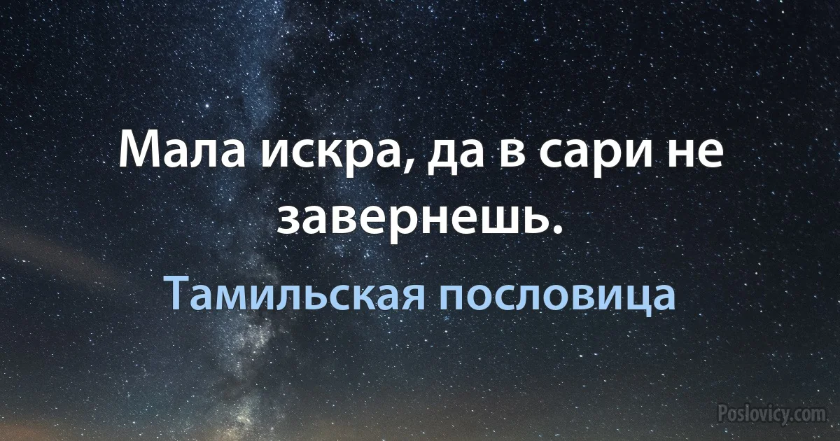 Мала искра, да в сари не завернешь. (Тамильская пословица)