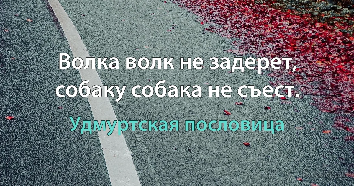 Волка волк не задерет, собаку собака не съест. (Удмуртская пословица)