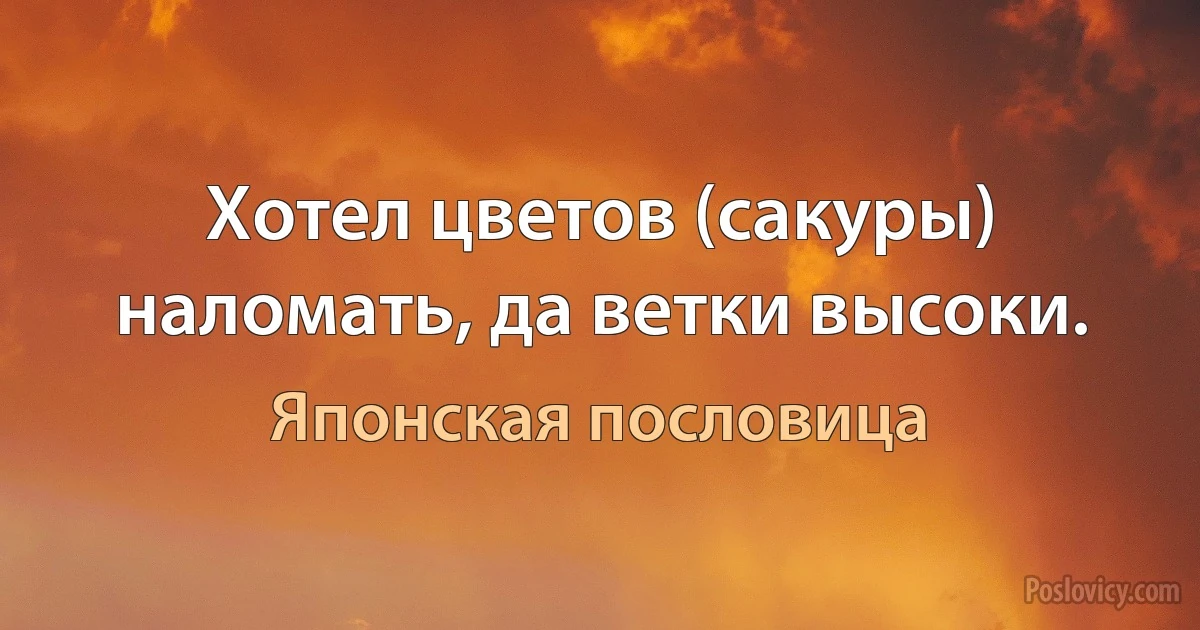 Хотел цветов (сакуры) наломать, да ветки высоки. (Японская пословица)