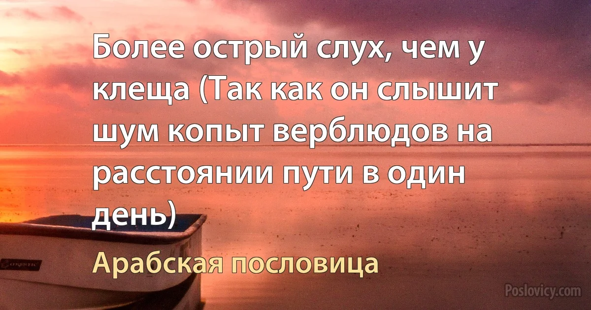 Более острый слух, чем у клеща (Так как он слышит шум копыт верблюдов на расстоянии пути в один день) (Арабская пословица)