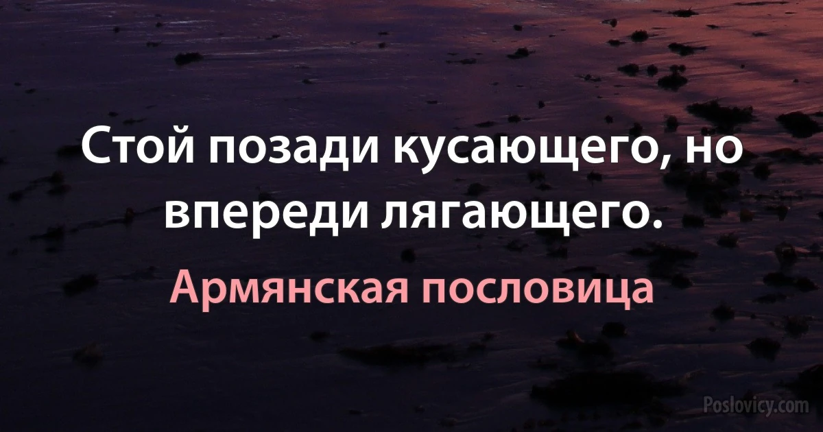 Стой позади кусающего, но впереди лягающего. (Армянская пословица)