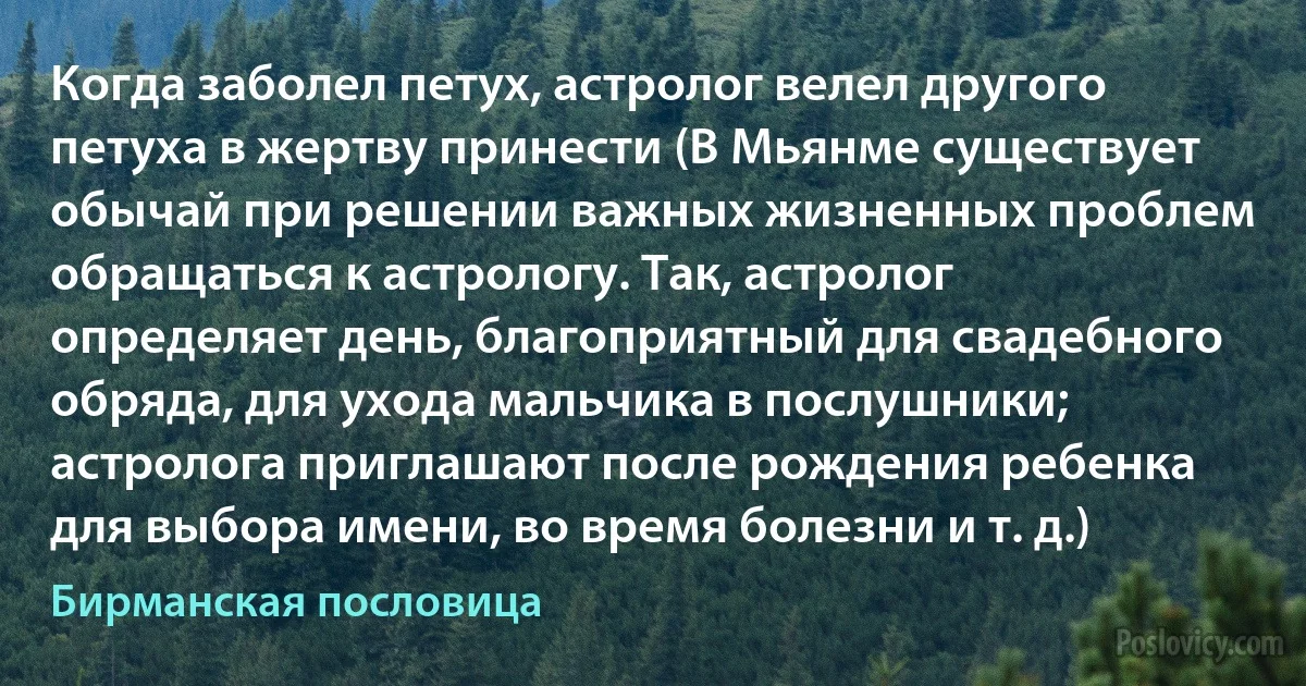 Когда заболел петух, астролог велел другого петуха в жертву принести (В Мьянме существует обычай при решении важных жизненных проблем обращаться к астрологу. Так, астролог определяет день, благоприятный для свадебного обряда, для ухода мальчика в послушники; астролога приглашают после рождения ребенка для выбора имени, во время болезни и т. д.) (Бирманская пословица)