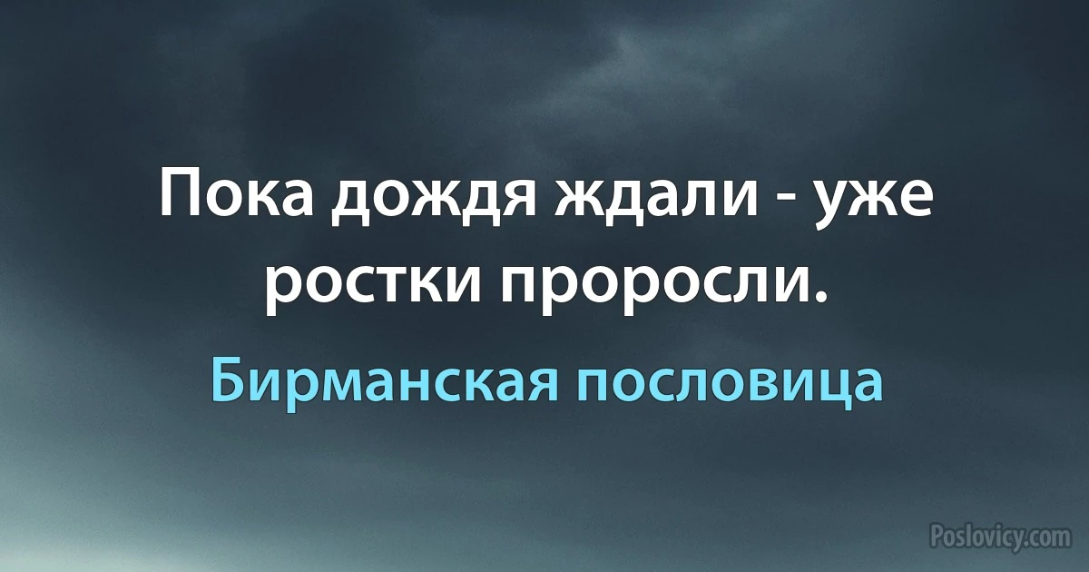 Пока дождя ждали - уже ростки проросли. (Бирманская пословица)