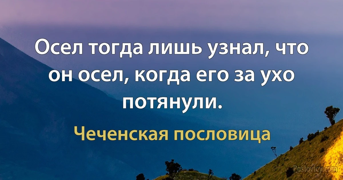 Осел тогда лишь узнал, что он осел, когда его за ухо потянули. (Чеченская пословица)