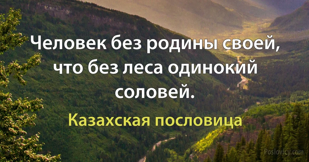 Человек без родины своей, что без леса одинокий соловей. (Казахская пословица)