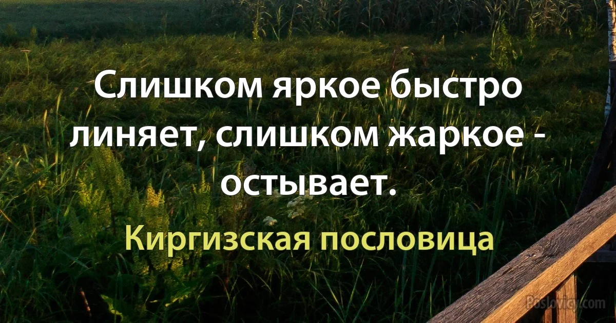 Слишком яркое быстро линяет, слишком жаркое - остывает. (Киргизская пословица)