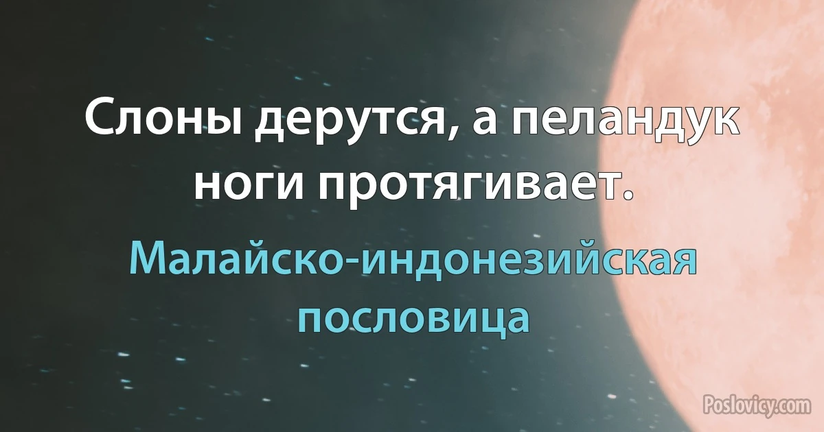 Слоны дерутся, а пеландук ноги протягивает. (Малайско-индонезийская пословица)