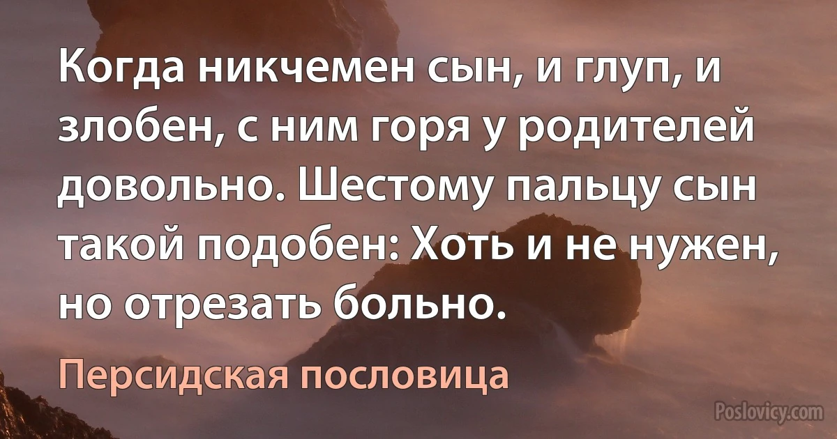 Когда никчемен сын, и глуп, и злобен, с ним горя у родителей довольно. Шестому пальцу сын такой подобен: Хоть и не нужен, но отрезать больно. (Персидская пословица)