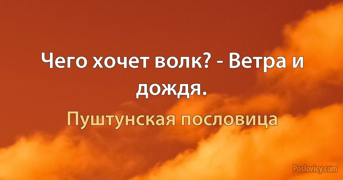 Чего хочет волк? - Ветра и дождя. (Пуштунская пословица)