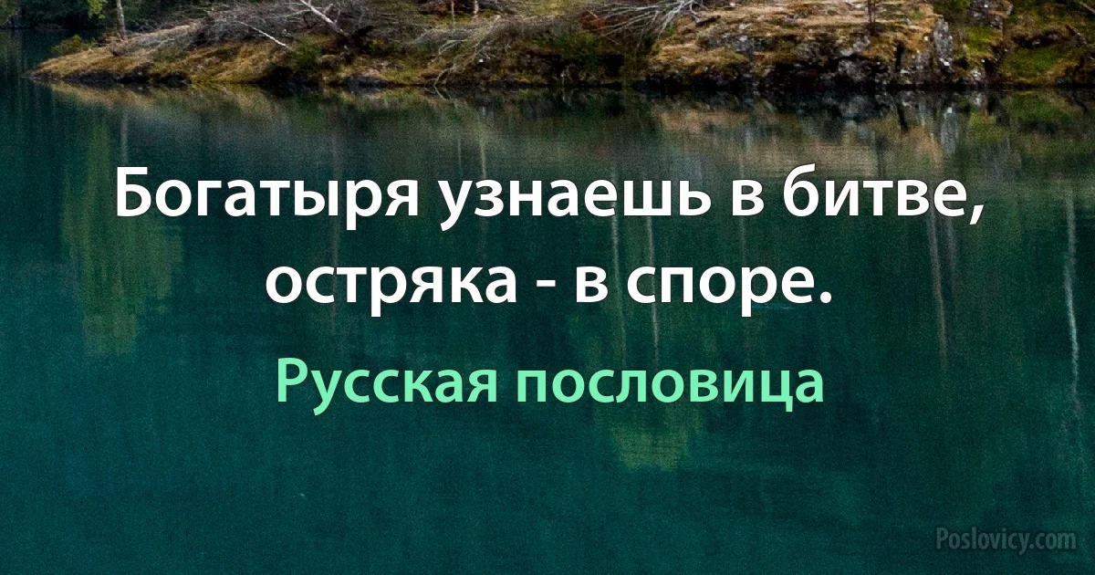 Богатыря узнаешь в битве, остряка - в споре. (Русская пословица)