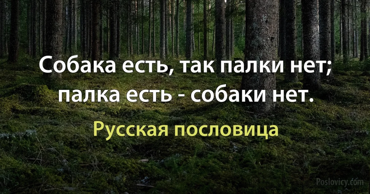 Собака есть, так палки нет; палка есть - собаки нет. (Русская пословица)