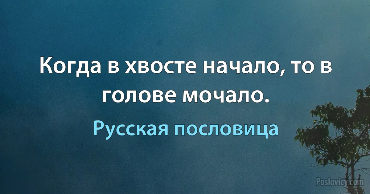 Когда в хвосте начало, то в голове мочало. (Русская пословица)