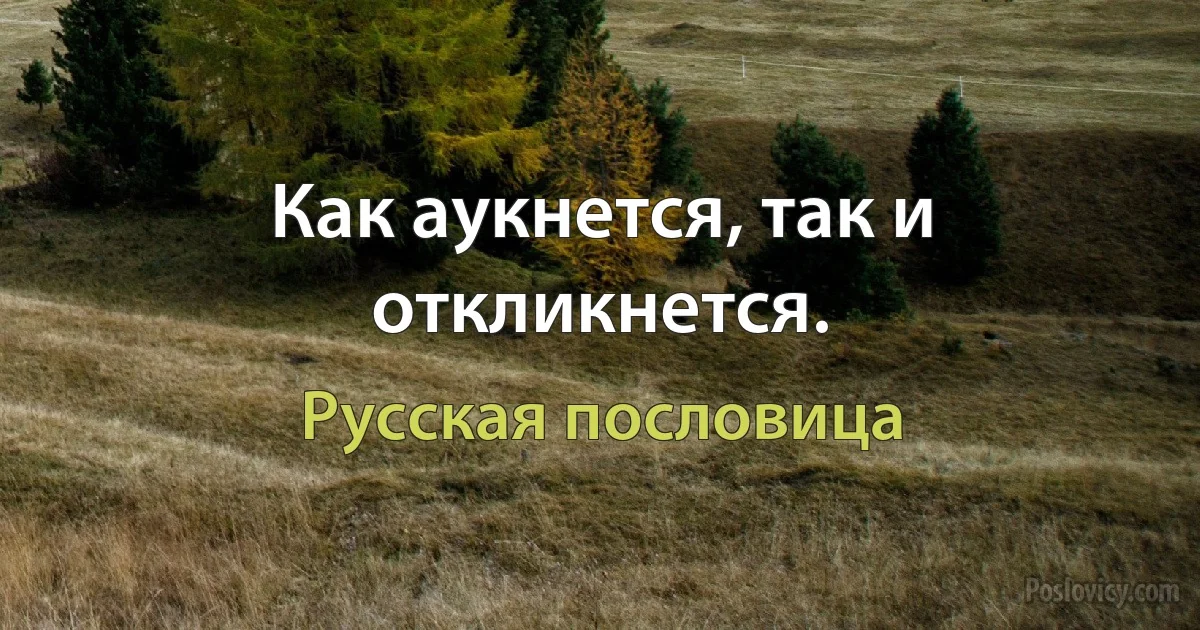 Как аукнется, так и откликнется. (Русская пословица)